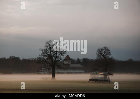 Geheimnisvollen Morgennebel auf einem Feld mit Bäumen im ländlichen Raum Stockfoto