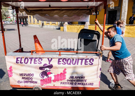 Mexiko-Stadt, mexikanisch, lateinamerikanisch, lateinamerikanisch, ethnisch, Coyoacan, Del Carmen, Jardin Plaza Hidalgo, öffentlicher Park, Lebensmittelverkäufer verkaufen verkaufen Stockfoto