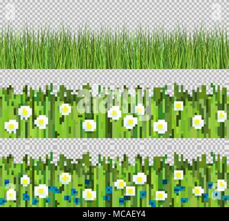 Grünes Gras und Blumen. Satz flacher Vector Illustration auf transparentem Hintergrund isoliert. Frühling Gras und Wiese Blumen muster Kollektion. Stock Vektor