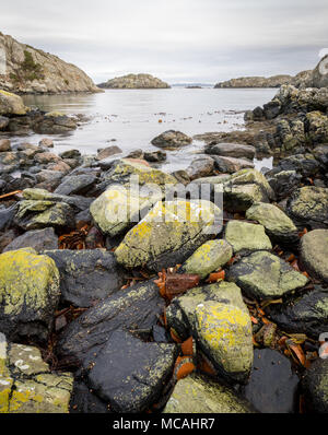 Felsen in Flechten bedeckt, den Ozean und die Inseln im Hintergrund. Urd Insel an der Rovaer Archipel in Haugesund, norwegischen Westküste. Bild vertikal Stockfoto