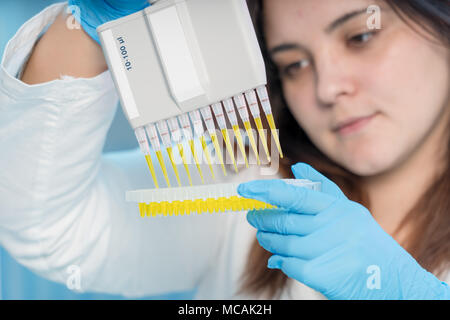 Frau-Techniker mit Multipipette im Genlabor PCR-Forschung. Studentin verwenden Pipette. Junge Wissenschaftlerin lädt Proben zur DNA-amplific Stockfoto