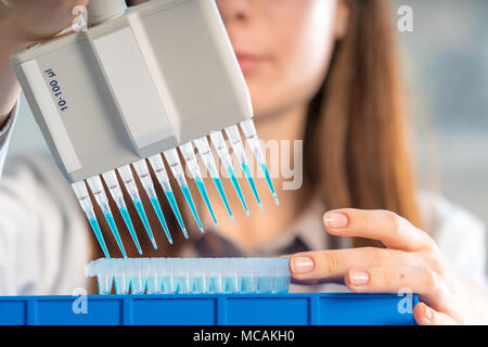 Student Frau mit multi Pipette und andere PCR-Produkte in der mikrobiologischen/genetischen Labor Stockfoto