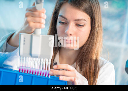 Student Frau mit multi Pipette und andere PCR-Produkte in der mikrobiologischen/genetischen Labor Stockfoto