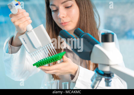 Student Frau mit multi Pipette und andere PCR-Produkte in der mikrobiologischen/genetischen Labor Stockfoto