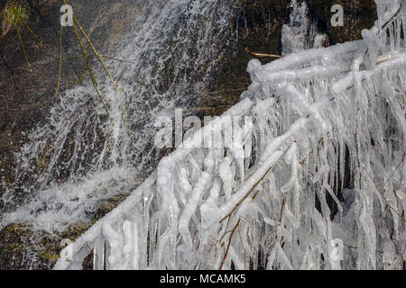 Eis gefrorene Äste und Wasserfällen, Ax les Thermes, Ariège, Französischen Pyrenäen, Frankreich Stockfoto