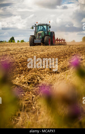 Ein Traktor Pflügen eines Feldes von Kulturpflanzen. Flache Tiefenschärfe mit selektiven Fokus auf dem Traktor. Stockfoto