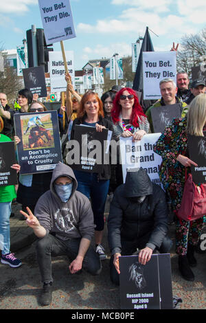 Sie sterben auf jeden Fall Grand National Protest; Tierrechtler in Liverpool, Merseyside, Großbritannien. 14/04/2018. Grand National Meeting Aintree Demonstrationen & Opposition am Haupteingang der Aintree Rennbahn. Jedes Jahr führt FAACE in Aintree, Liverpool, eine Demonstration gegen das Grand National Pferderennen durch. Stockfoto