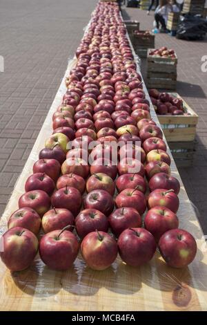 Posen, Großpolen, Polen. 15 Apr, 2018. 11 PKO Poznan Halbmarathon. Im Bild: Äpfel für die Läufer. Credit: Dawid Tatarkiewicz/ZUMA Draht/Alamy leben Nachrichten Stockfoto