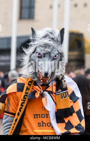 Wolverhampton, Vereinigtes Königreich. 15. April 2018: Die Wölfe Fans feiern den Gewinn der Meisterschaft und Aufstieg in die Premier League nach einem 2-0 über den Blues Birmingham City FC am Molineux Stadium gewinnen. Credit: Ian Francis/Alamy leben Nachrichten Stockfoto