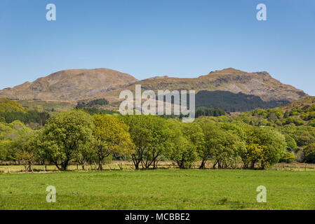 Berge von Snowdonia National Park an einem sonnigen Frühlingstag. Blick aus der Nähe von Garreg, North Wales, UK. Stockfoto