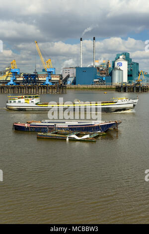 Tate & Lyle Zuckerfabrik, Themse, East London, Vereinigtes Königreich Stockfoto