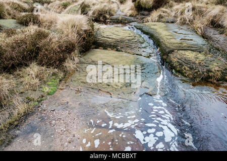 Kleine Stream über gritstone Felsen auf Moorland fließende, Kinder Scout, Derbyshire, Peak District, England, Großbritannien Stockfoto