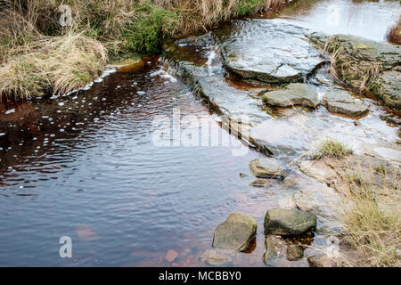 Strom fließt über Moorlandschaften, Kinder Scout, Derbyshire, Peak District, England, Großbritannien Stockfoto