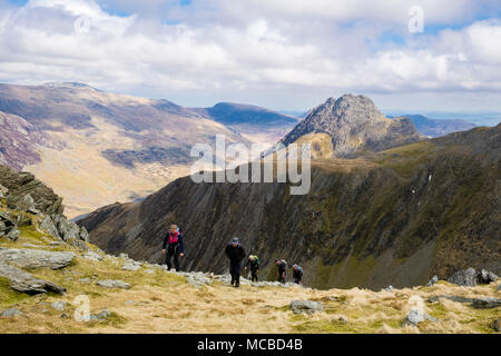 Wanderer Wandern bis Senioren Ridge zu Glyder Fawr in Glyderau Berge mit Y Gribin ridge und Tryfan jenseits in Snowdonia National Park. Ogwen, Wales, Großbritannien Stockfoto