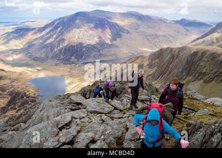 Wanderer, die kriechen, bis auf Seniors Grat über Cwm Idwal und Ogwen Valley mit Blick auf Carneddau Berge in Snowdonia National Park. Wales UK Großbritannien Stockfoto