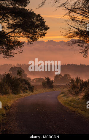 Eine Misty Land Lane in der Morgendämmerung Licht in ländlichen Aberdeenshire Stockfoto