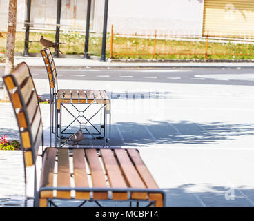Bank im Park unter dem Schatten der Sonneneinstrahlung im Sommer. Stockfoto