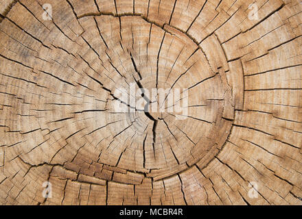 Braunes Holz Oberfläche zerkratzt Holz Holz schneiden Schneiden, Holz Textur. Stockfoto