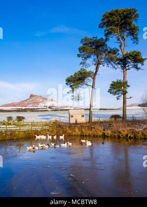 Roseberry Topping im Cleveland Hills gesehen von Aireyholme farm Great Ayton im Winter Stockfoto