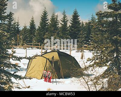 Camping im Winter Wandern in den Bergen. Grüne touristischen Zelt unter Fichten. Stockfoto