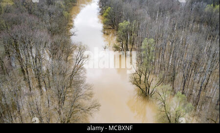 Flutwald und der Fluss Lonja während der Überschwemmung in Lonjsko polje, Kroatien Stockfoto