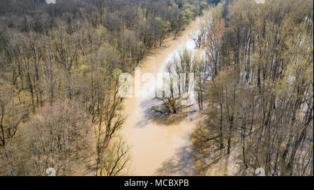 Flutwald und der Fluss Lonja während der Überschwemmung in Lonjsko polje, Kroatien Stockfoto