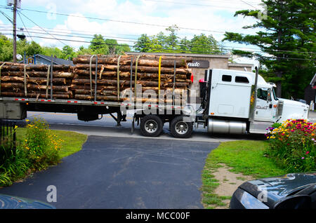 Ein Quebec Kanada lizenzierte Traktor Anhänger oder Lkw, mit Logs vor und blockieren Einfahrten in Spekulant, NY USA geparkt geladen Stockfoto