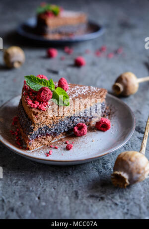 Eine Scheibe von Kakao Kuchen mit Mohn und Kokos Füllung, mit freeze dekoriert - getrocknete Himbeeren Stockfoto