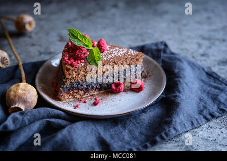 Eine Scheibe von Kakao Kuchen mit Mohn und Kokos Füllung, mit freeze dekoriert - getrocknete Himbeeren Stockfoto