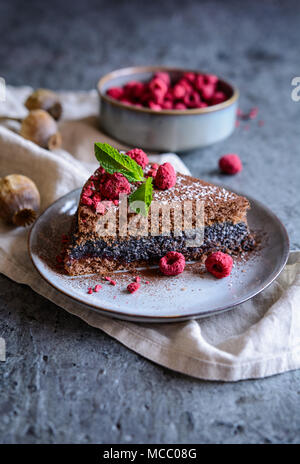 Eine Scheibe von Kakao Kuchen mit Mohn und Kokos Füllung, mit freeze dekoriert - getrocknete Himbeeren Stockfoto