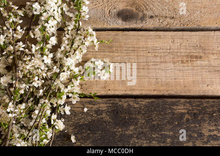 Zweige mit Kirschblüten auf hölzernen Tisch. Stockfoto