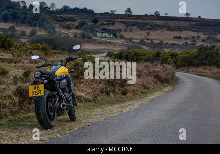 Yamaha XSR 700 Motorrad auf kurvenreichen Straßen im neuen Wald Stockfoto