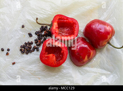 Red Hot Chili Peppers in Hälften geschnitten. Kolumbien, Südamerika. Stockfoto