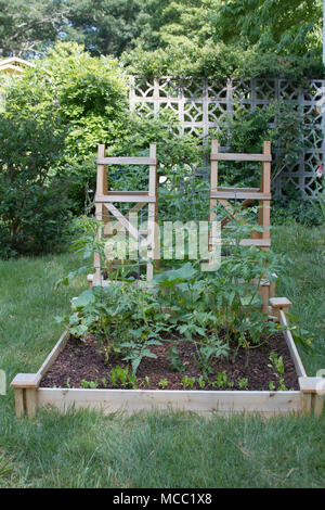 Eine florierende Behälter-gemüsegarten unter Hinterhof Gras mit Gurken, Tomaten, Kräuter gepflanzt, und eine Vielzahl von grünen im Sommer Stockfoto