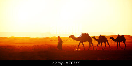 Horizontale Banner mit Wohnwagen der Kamele in der Wüste Sahara, Marokko. Treiber - Berber mit drei Kamele Dromedar auf sunrise Himmel Hintergrund Stockfoto