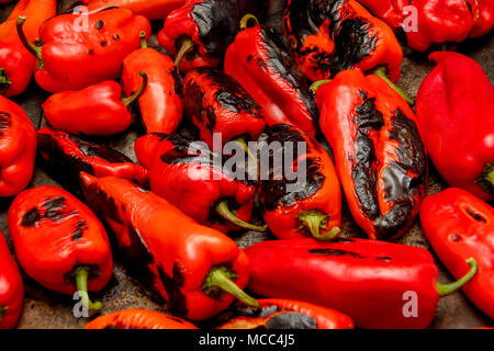 Mehrere rote Paprika Rösten auf dem Herd in Ajvar gedreht werden, eine leckere Auswahl beliebter auf dem Balkan. Stockfoto