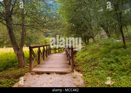 Kleine, rustikale Holzbrücke und Pfad, umgeben von grünen Bäumen im Sommer. Stockfoto