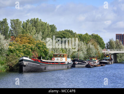 Alte Kähne in einem Kanal mit üppiger, grüner Vegetation, Tilburg, Niederlande Stockfoto