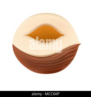 Organic Half hazelnut. 3d realistic colors. Stock Vektor