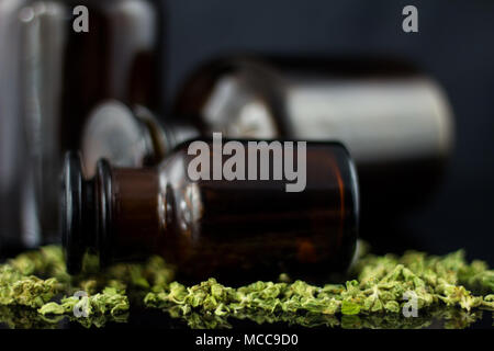 Cannabisknospen und Blumen mit alten Apothekenflaschen auf schwarzem Hintergrund. Stockfoto