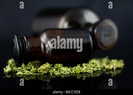 Cannabisknospen und Blumen mit alten Apothekenflaschen auf schwarzem Hintergrund. Stockfoto