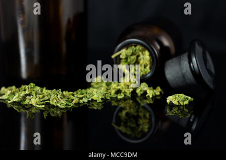 Cannabisknospen und Blumen mit alten Apothekenflaschen auf schwarzem Hintergrund. Stockfoto