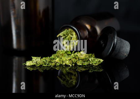 Cannabisknospen und Blumen mit alten Apothekenflaschen auf schwarzem Hintergrund. Stockfoto