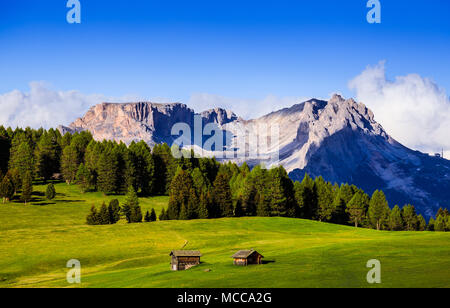 Mt. Langkofel bei Sonnenuntergang, Blick von der Seiser Alm, Dolomiten, Italien Stockfoto