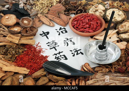 Chinesische Akupunktur Nadeln und moxa Sticks in moxibustion Therapie mit Kräutern in der Kräutermedizin und Kalligraphie Skript auf Reis papier verwendet. Trans Stockfoto