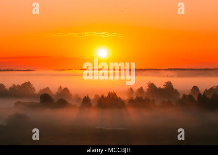 Erstaunlich Sonnenaufgang über neblige Landschaft. Malerischer Blick auf Nebligen Morgen Sky mit der aufgehenden Sonne über dem nebligen Wald. Mitte Sommer Natur Europas. Stockfoto
