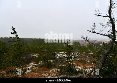 Nebligen Strand Landschaft im Norden von Delaware, USA Stockfoto