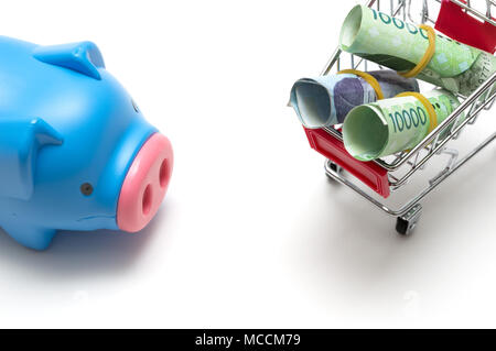 Sparschwein und koreanischen Geld und Warenkorb auf weißem Hintergrund: Wirtschaft Konzept Stockfoto