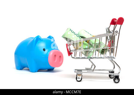 Sparschwein und koreanischen Geld und Warenkorb auf weißem Hintergrund: Wirtschaft Konzept Stockfoto