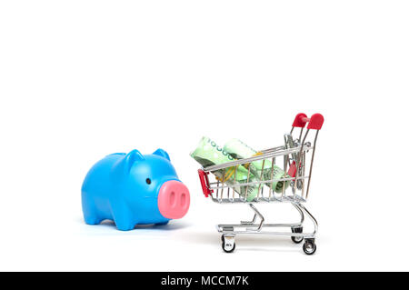 Sparschwein und koreanischen Geld und Warenkorb auf weißem Hintergrund: Wirtschaft Konzept Stockfoto